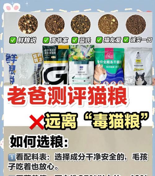 砂糖是猫粮吗怎么吃的啊？砂糖对猫的健康影响是什么？