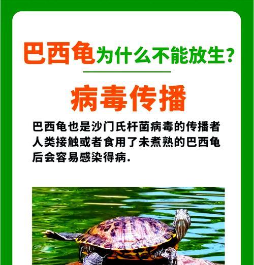 巴西龟张嘴呼吸并吐水是何原因？