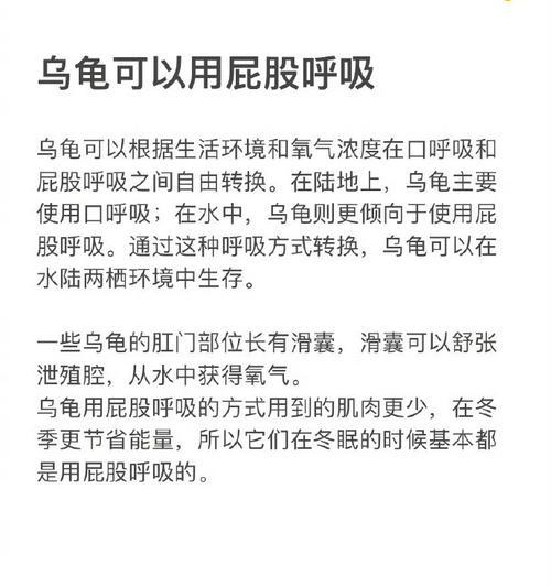 巴西龟张嘴呼吸并吐水是何原因？