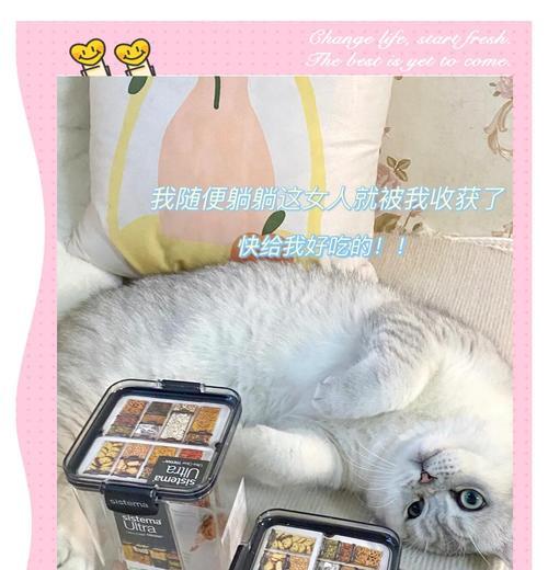 用酒瓶储存猫粮如何保存？酒瓶储存猫粮会不会坏？