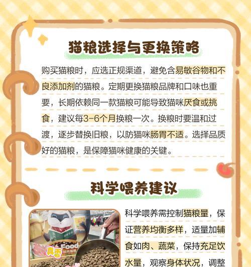 小猫偶尔吃一点猫粮是为什么？小猫吃猫粮不规律的原因是什么？