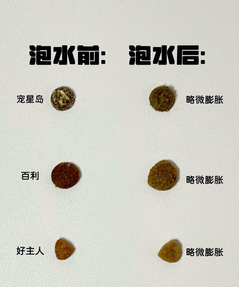 猫湿粮中通常含有哪些菌类？这些菌类对猫咪有何影响？
