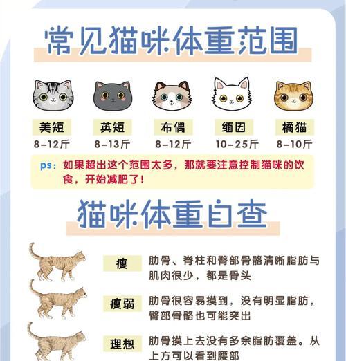 猫咪吃猫粮容易发胖的原因是什么？
