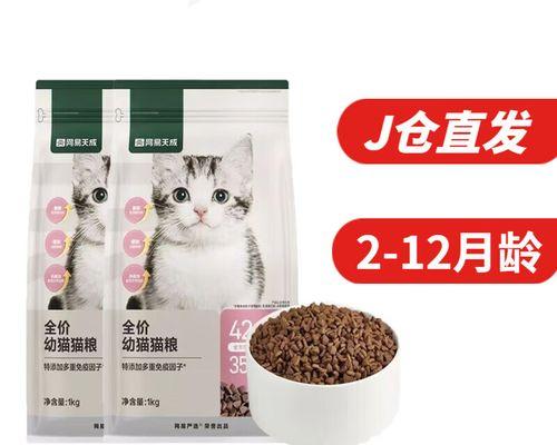 英短幼猫吃什么猫粮？有哪些推荐？