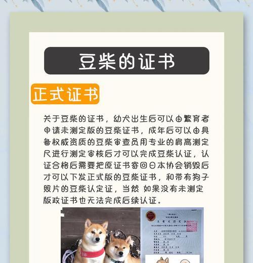 柴犬偏爱猫粮是何原因？