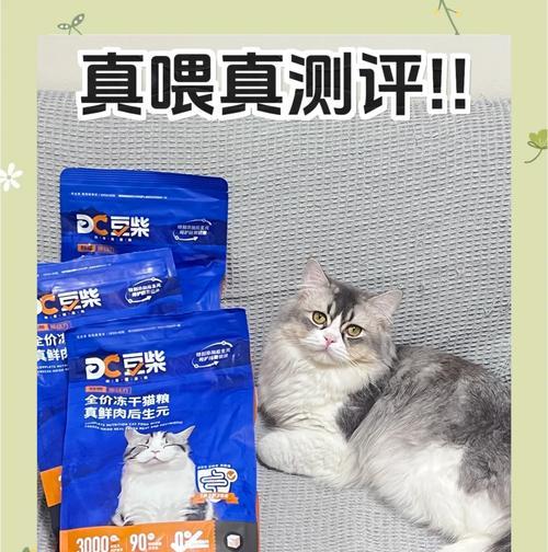 柴犬偏爱猫粮是何原因？