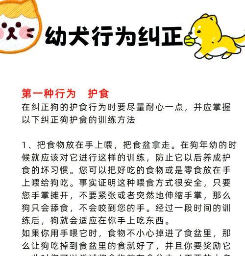 如何防止狗狗误食猫粮？