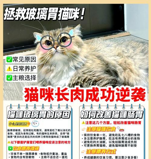 听泉猫吃到鸟屎猫粮怎么处理？如何确保猫粮的卫生安全？