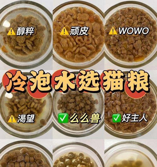 如何辨别猫粮的质量好坏？