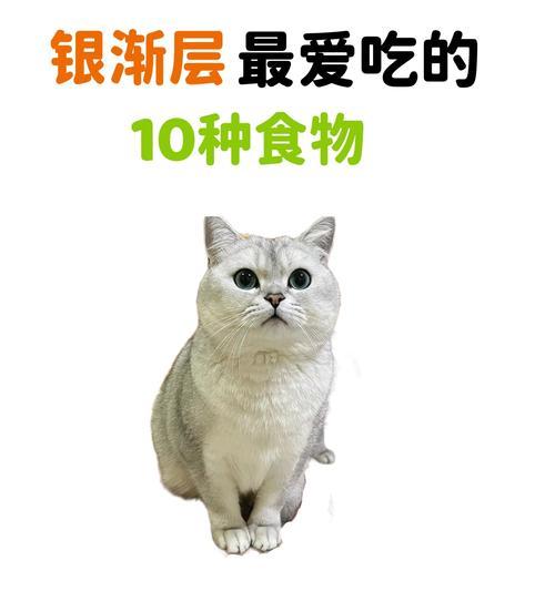 银渐层六个月吃什么猫粮发腮块？促进银渐层发腮的猫粮推荐有哪些？
