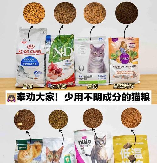 上班族如何为猫咪选择合适的猫粮？