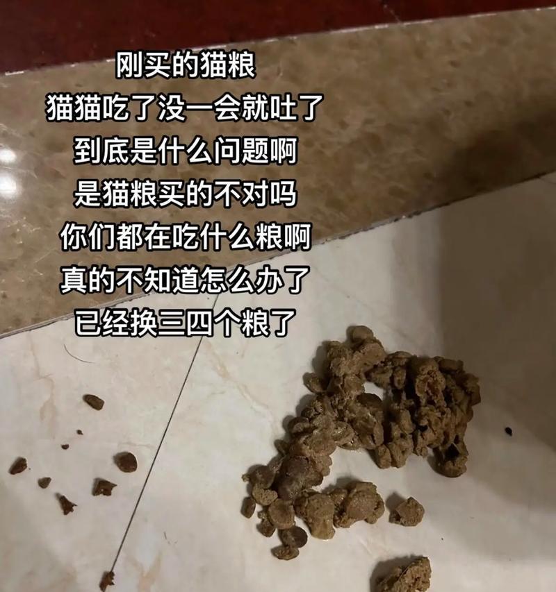 猫吃了猫粮吐不出来是什么原因？如何解决这个问题？