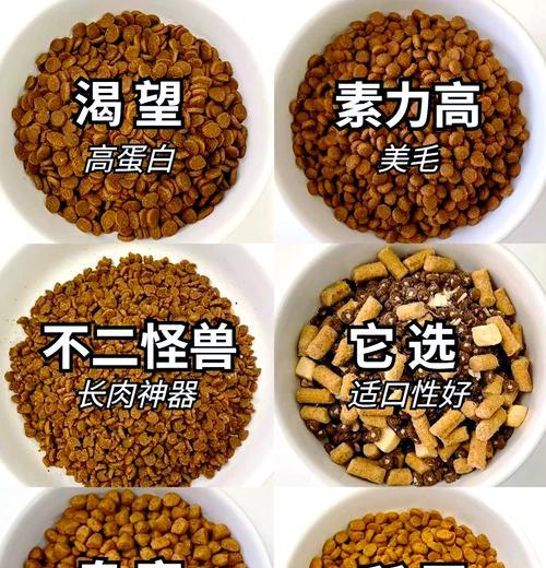 皮卡堂中获取猫粮的方法有哪些？如何有效收集？
