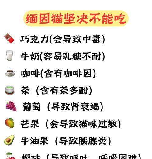 缅因猫玩弄猫粮不进食怎么办？如何纠正？