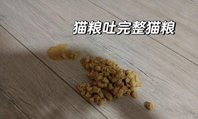 遇水浮起来的猫粮是什么？这种猫粮有什么特点？