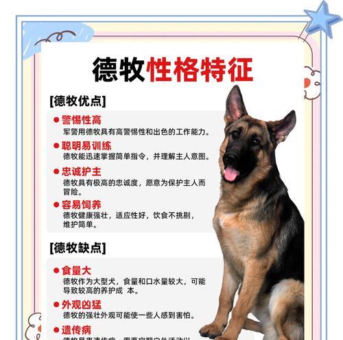 德牧护食行为的几率有多高？如何预防和处理？