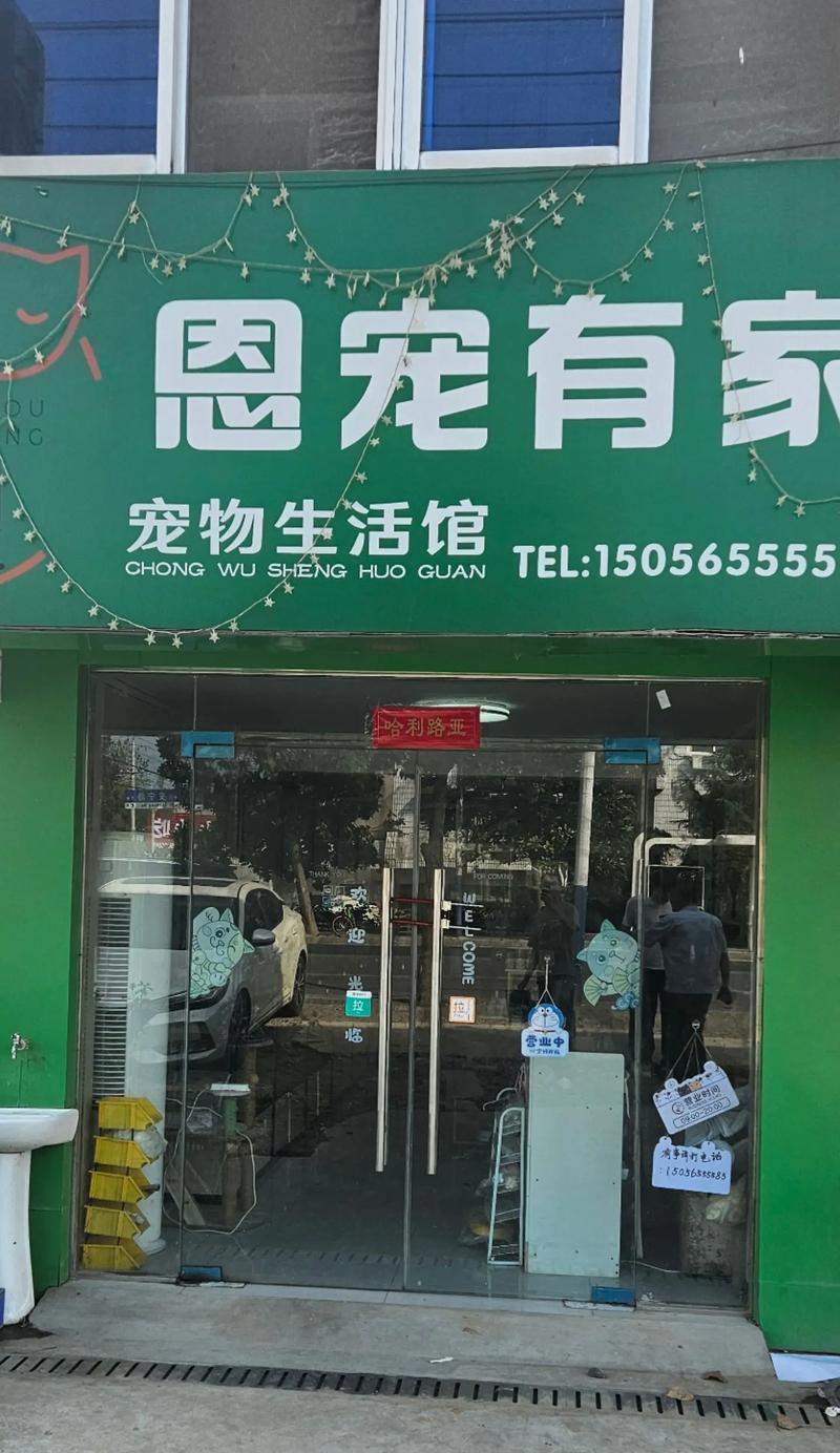 卖猫时是否应该附送猫粮？
