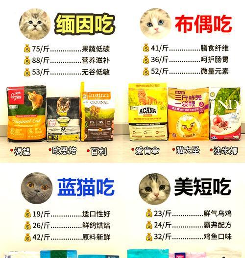 布偶猫对猫粮过敏怎么办？