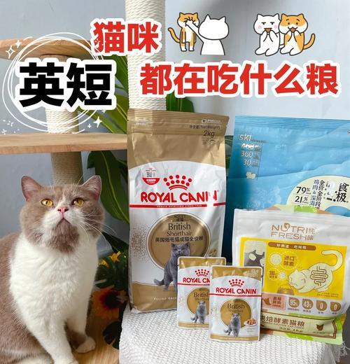 英短猫粮推荐减少眼屎？选择标准是什么？