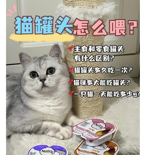 猫粮冻干罐头如何正确喂食？喂食时应注意什么？