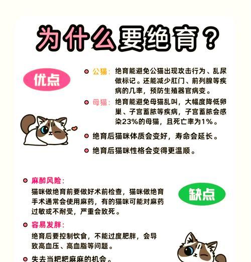 猫咪手术后无法进食猫粮怎么办？需要采取哪些措施？