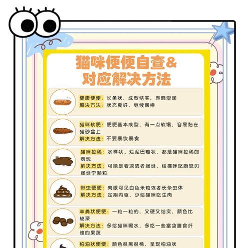 小奶猫食用猫粮后腹泻应该怎么办？