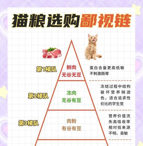 猫实在没有猫粮时应该选择什么食物？