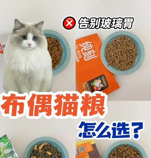 劣质猫粮用什么食材做比较好？老手给猫吃什么猫粮好呢？