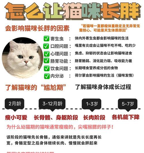 猫粮发胖不胖的原因是什么？