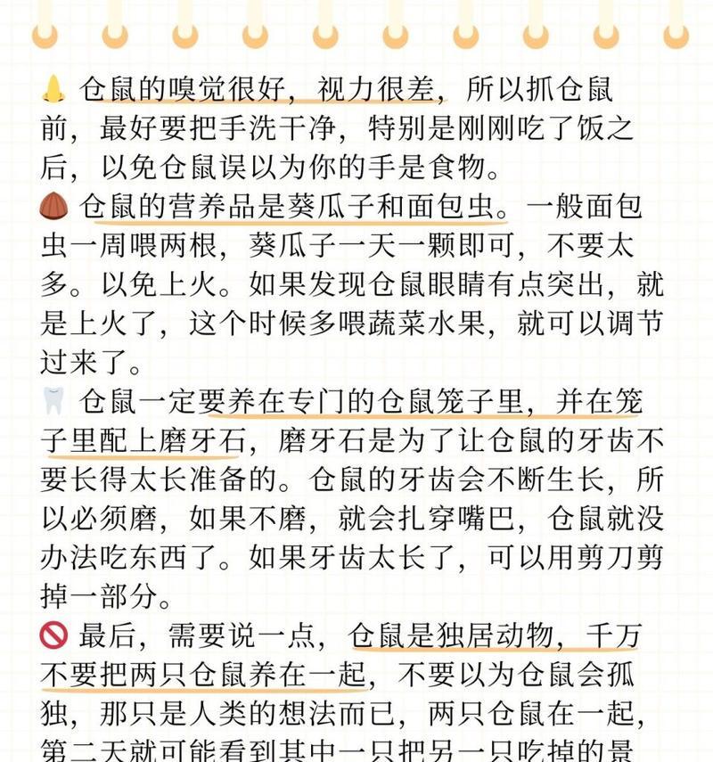如何在市场上挑选健康的仓鼠幼崽？