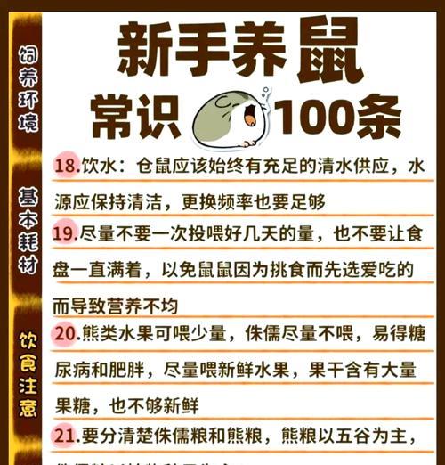 如何在市场上挑选健康的仓鼠幼崽？