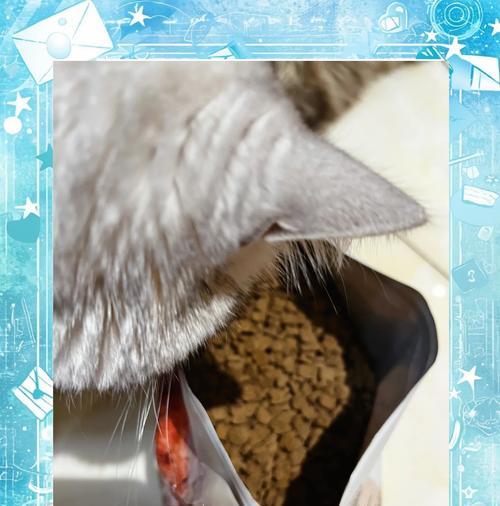 肥猫吃猫粮的正确方式是什么？