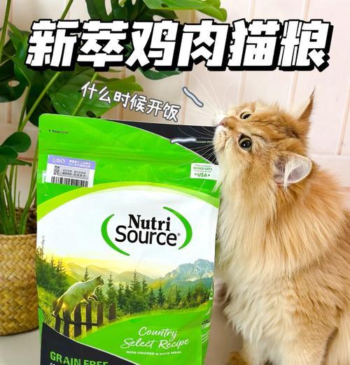 新萃猫粮品牌选择时应注意什么？