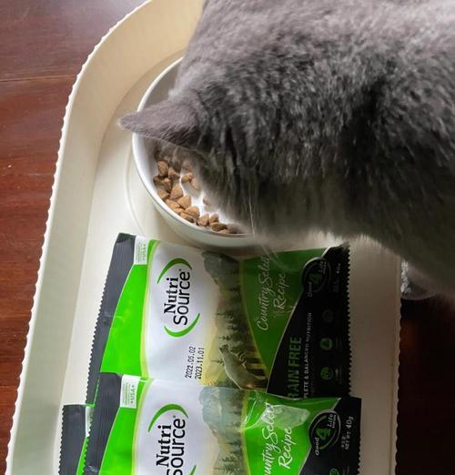 新萃猫粮品牌选择时应注意什么？