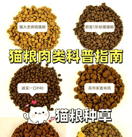 为什么吃肉比猫粮便宜还要选择猫粮？