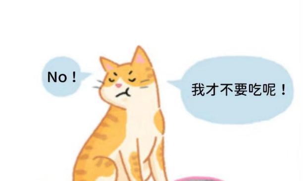 小猫咪既不吃猫粮也不吃罐头怎么办？如何激发食欲？