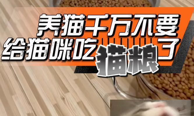 猫咪为什么突然放弃猫粮了？可能的原因有哪些？