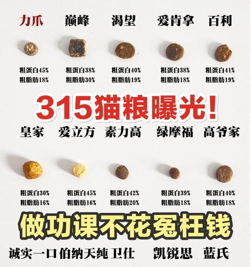 猫粮摄入过量会有哪些危害？