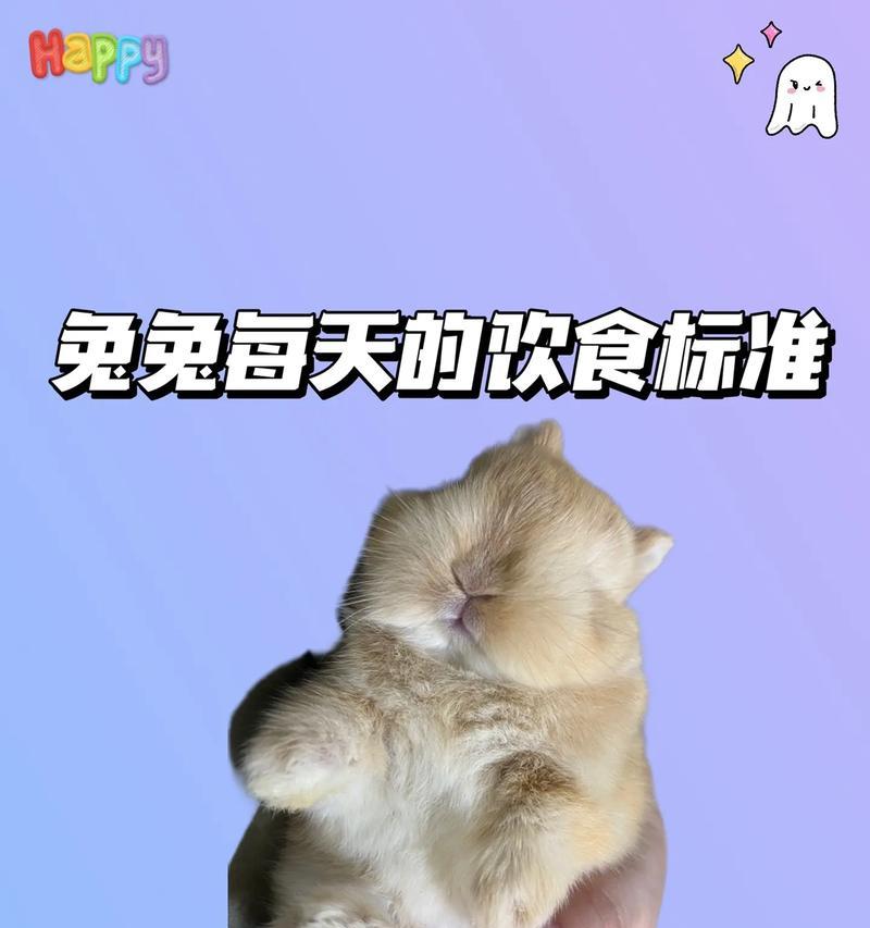 兔子能吃猫粮吗？为什么通常不建议？