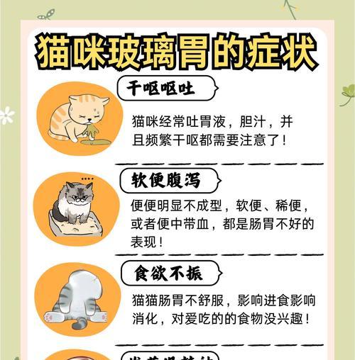 小猫吃冰箱里的鱼拉肚子怎么办？需要给猫吃什么药？