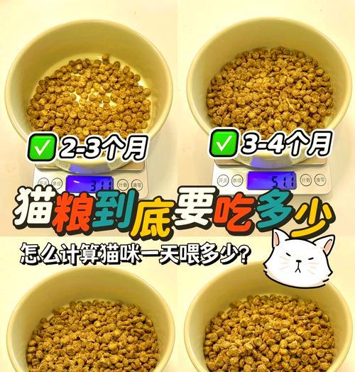 猫咪大量进食猫粮是否正常？