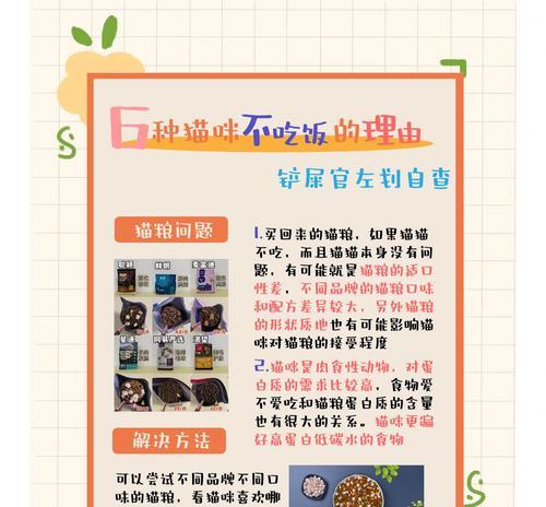 人可以吃猫粮吗？猫粮对人类健康有何影响？
