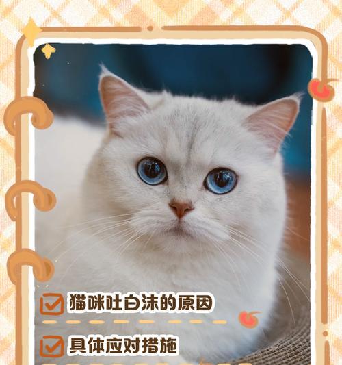 泡猫粮出现泡沫正常吗？泡沫对猫有害吗？