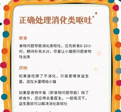 不小心吃到猫屎的猫粮怎么办？如何防止类似情况发生？