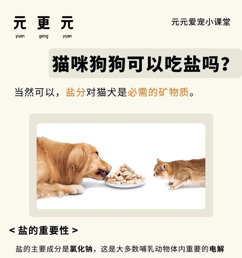盐分低的猫粮对猫咪健康有何影响？