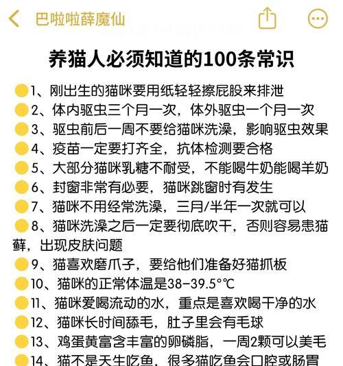 猫吃湿粮症状表现是什么？如何判断？