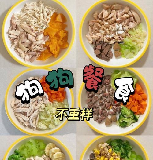 杜宾犬自制狗粮，需要哪些食物和营养？