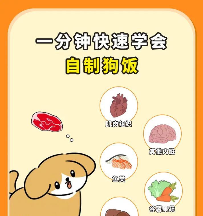 杜宾犬自制狗粮，需要哪些食物和营养？