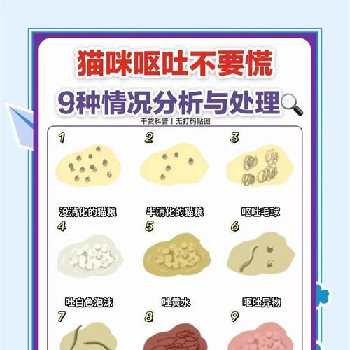 猫粮后呕吐带血的原因是什么？如何处理？