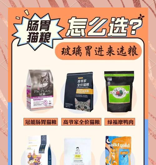 颗粒小猫粮的消化问题？易消化猫粮的正确食用方法？